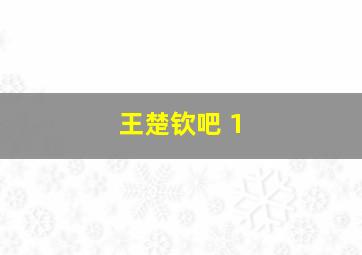 王楚钦吧 1